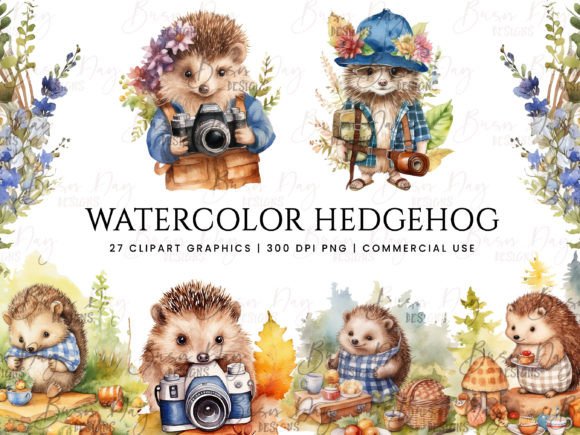 Download Watercolor Hedgehog Clipart Bundle - Hedgehog Collection
