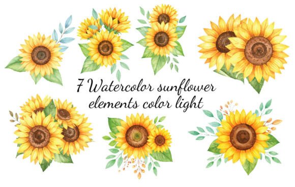Download 7 Watercolor Sunflower Elements Color - Element Collection